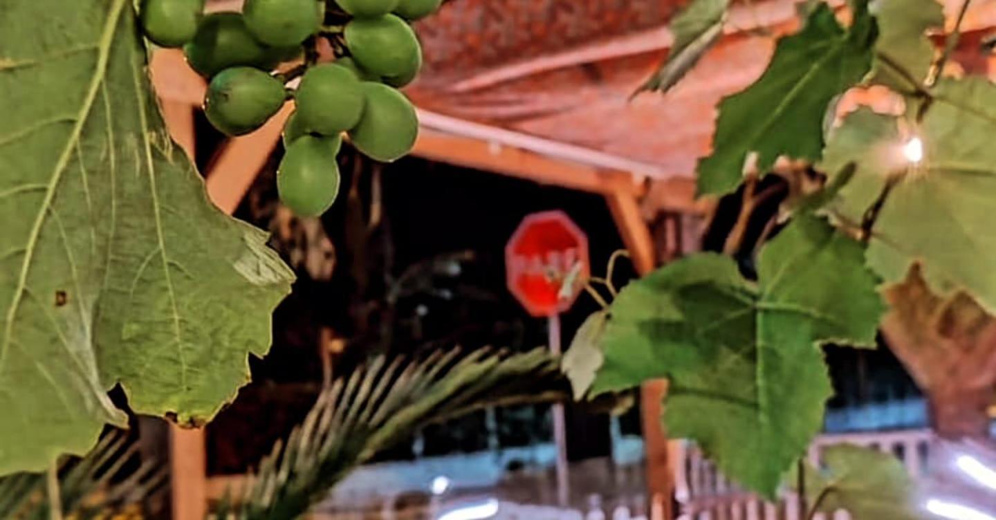 Hostel Vento Leste بومبينهاس المظهر الخارجي الصورة